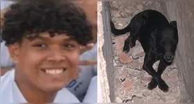 Cachorro foi baleado durante tentativa de assalto que vitimou jovem de 20 anos.