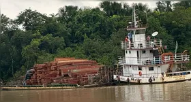 Embarcação com carga ilegal saiu de Santarém, oeste do Pará, em direção a Belém (PA)