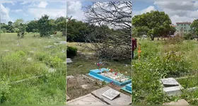 Cemitério Parque Girassol está abandonado