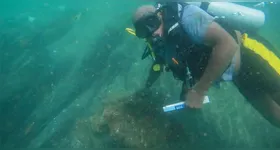 O navio estava submerso a seis metros de profundidade na costa do Quênia.