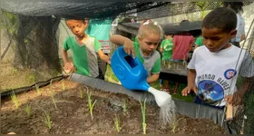 O projeto leva o estímulo à leitura e ao cuidado com o meio ambiente em áreas rurais dos municípios de Marabá e Redenção.