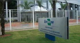 Concurso da Embrapa oferece 1.027 vagas e salários de até R$ 12,8 mil.