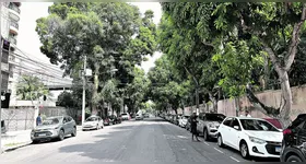 A avenida Alcindo Cacela iniciou a partir da criação da Usina Crematória de dejetos criada por Antônio Lemos. Daí em diante, ela ganhou outro nome e viu seu entorno crescer em direção ao centro da cidade.