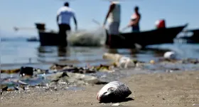 A poluição dos oceanos causa danos irreparáveis ao planeta.