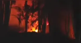 As chamas se intensificaram na noite desta sexta-feira (08) em uma área de mata no bairro do Fama, em Outeiro