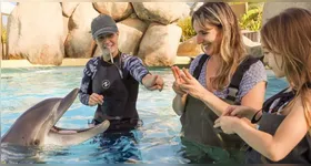 O futuro de 4 mil animais do parque permanece incerto com o fechamento do maior parque marinho da Europa, o Marineland