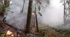 O fogo tem se aproximado cada vez mais de áreas habitáveis na "Ilha Grande", no município de Gurupá, localizado no arquipélago do Marajó