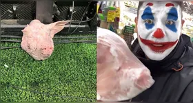 Cabeça de porco atirado ao gramado da Neo Química Arena e o vídeo do torcedor autor da provocação.
