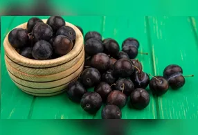 A jabuticaba é uma fruta rica em fonte de vitamina C, além de ter propriedades antioxidantes