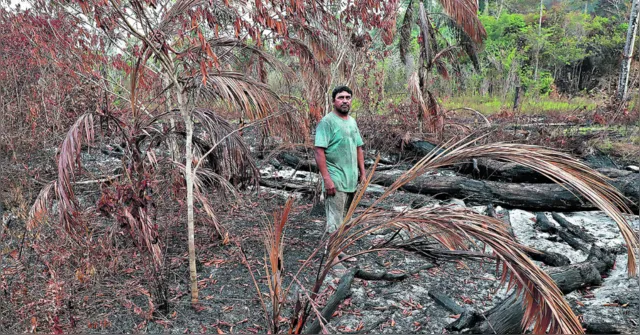 Imagem ilustrativa da notícia Incêndios florestais castigam Mosqueiro