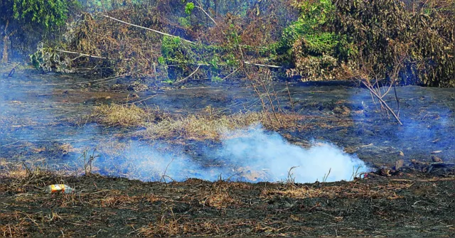 Imagem ilustrativa da notícia Após fogo atingir casas, focos de incêndio causam temor em Belém 
