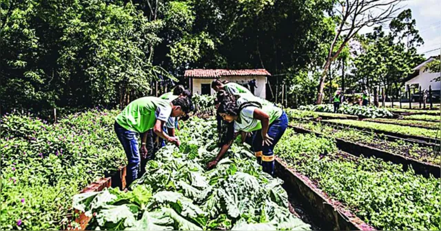Imagem ilustrativa da notícia Sisu tem vagas reservadas para estudantes do campo
