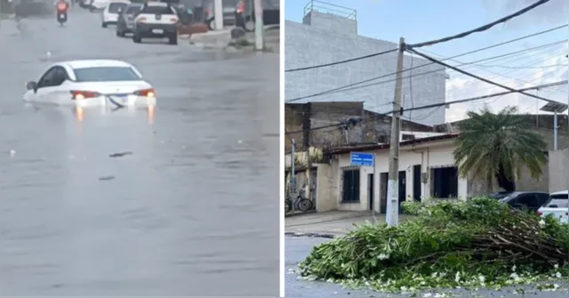 Imagem ilustrativa da notícia Chuva forte provoca queda de árvore e alagamento em Belém