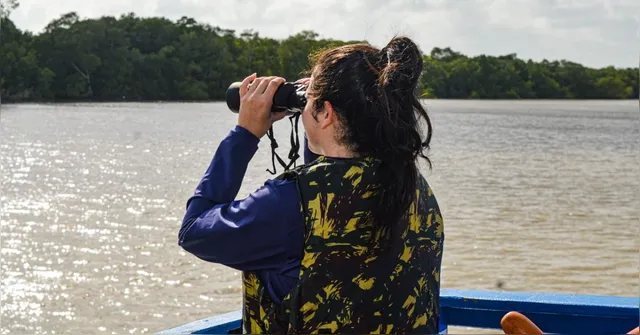 Imagem ilustrativa da notícia Pesquisadores avaliam impactos da sísmica em botos no Pará