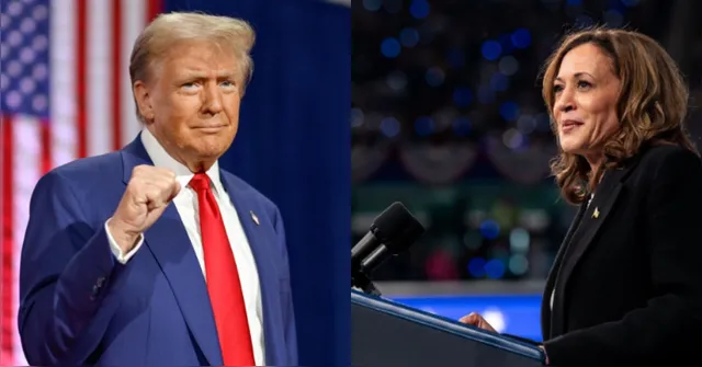 Imagem ilustrativa da notícia Kamala e Trump seguem empatados a menos de 24h da eleição