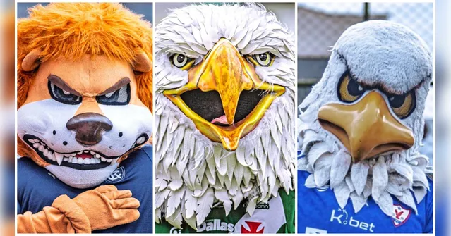 Imagem ilustrativa da notícia Copa do Brasil: os possíveis rivais de Remo, Tuna e Águia