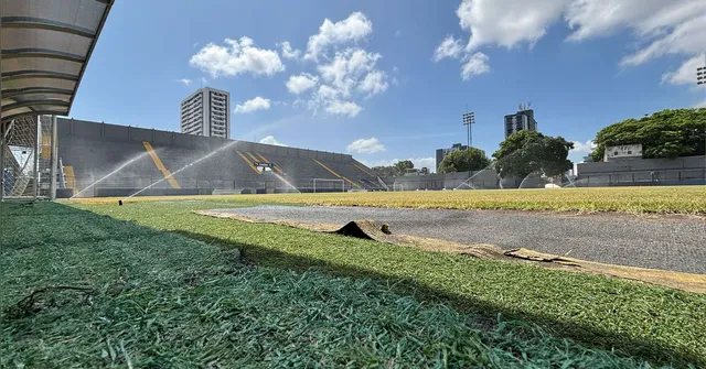 Imagem ilustrativa da notícia Clube do Remo investe na recuperação do gramado do Baenão