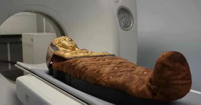 Imagem ilustrativa da notícia Tomografias de múmias revelam rituais feitos por egípcios