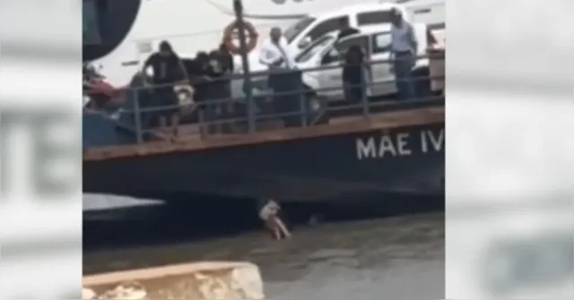Imagem ilustrativa da notícia Vídeo: mãe joga criança para fora de balsa no Pará