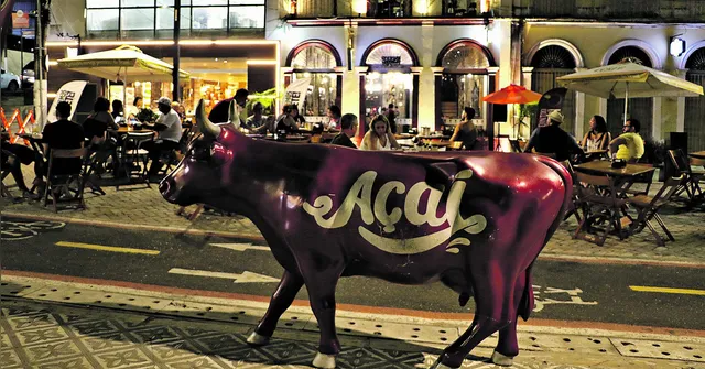 Imagem ilustrativa da notícia Bares e restaurantes chegam com otimismo ao final do ano