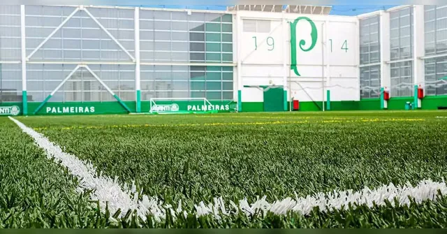 Imagem ilustrativa da notícia Polícia recupera grama sintética do Palmeiras e prende sete