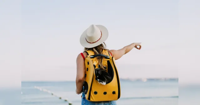 Imagem ilustrativa da notícia Quer viajar? Confira o calendário de feriados em 2025