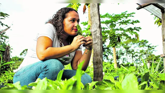 Imagem ilustrativa da notícia Conheça empreendedores tipicamente paraenses e sustentáveis