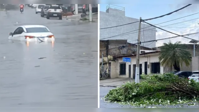 Imagem ilustrativa da notícia Chuva forte provoca queda de árvore e alagamento em Belém