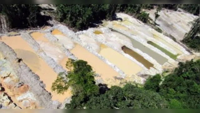 Imagem ilustrativa da notícia Grupo que lavou ouro ilegal no Pará é condenado