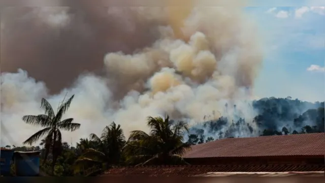 Imagem ilustrativa da notícia Pará tem 99 reconhecimentos de situação de emergência