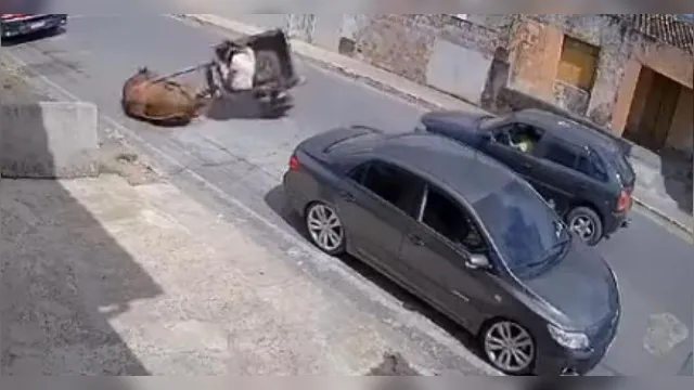 Imagem ilustrativa da notícia Vídeo: cavalo cai no chão ao tentar puxar carroça e carro