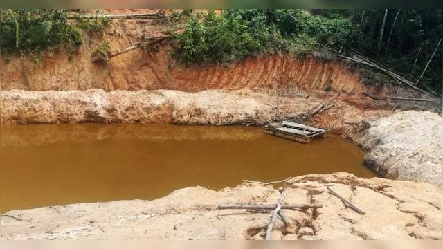 Imagem ilustrativa da notícia Pará: coronéis da PM são presos em operação contra garimpo