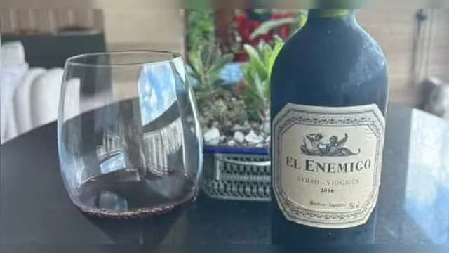 Imagem ilustrativa da notícia Com taça de vinho, ex-presidente do Náutico festeja vitória contra Hélio dos Anjos