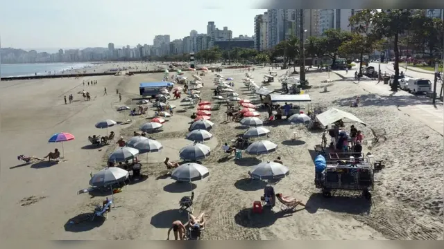 Imagem ilustrativa da notícia Surto de virose em São Paulo que preocupa o Brasil é estudada