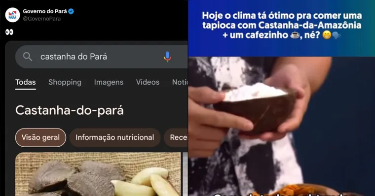 Imagem ilustrativa da notícia Na internet, amazonenses provocam paraenses na "guerra da castanha" 