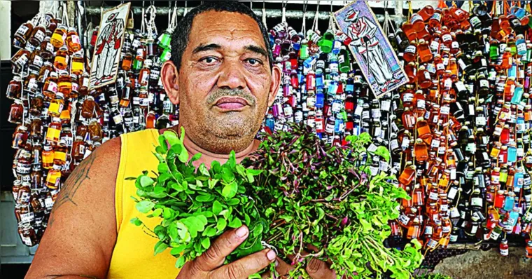 Imagem ilustrativa da notícia Ervas, cheiros e perfumes atraem boas energias para o Enem