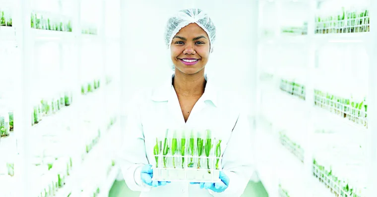 Imagem ilustrativa da notícia Agropalma quer produzir 2 milhões de mudas por ano