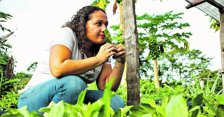 Imagem ilustrativa da notícia Conheça empreendedores tipicamente paraenses e sustentáveis