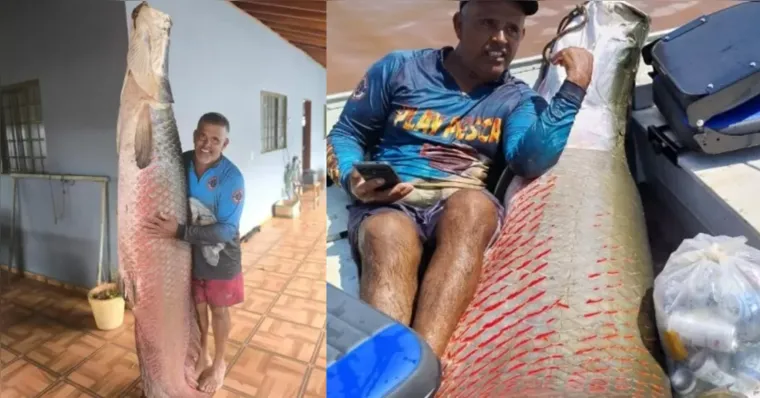 Imagem ilustrativa da notícia Pescador fisga pirarucus gigantes de 133 kg e 161 kg em São Paulo