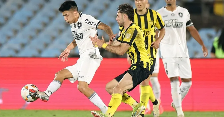 Imagem ilustrativa da notícia Botafogo perde, mas garante vaga na final contra o Galo