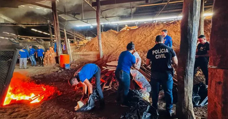 Imagem ilustrativa da notícia Estado incinera quase 200 Kg de drogas em Altamira