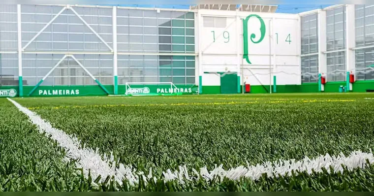 Imagem ilustrativa da notícia Polícia recupera grama sintética do Palmeiras e prende sete