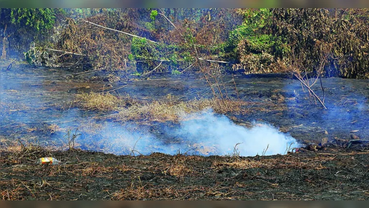 Imagem ilustrativa da notícia Após fogo atingir casas, focos de incêndio causam temor em Belém 