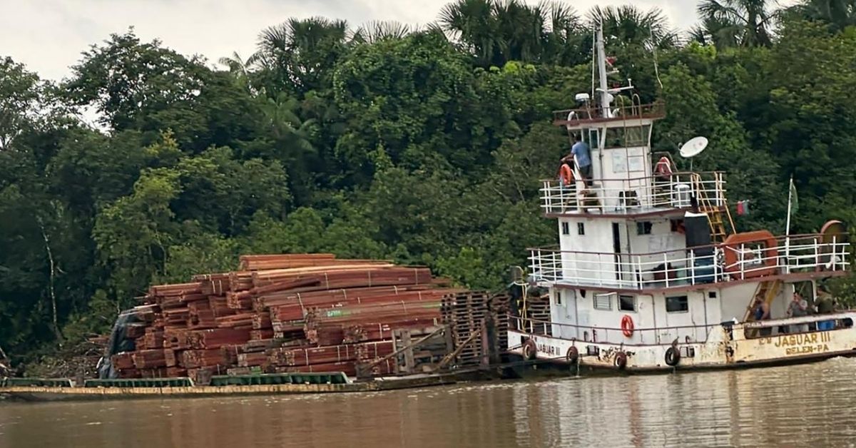 Embarcação com carga ilegal saiu de Santarém, oeste do Pará, em direção a Belém (PA)