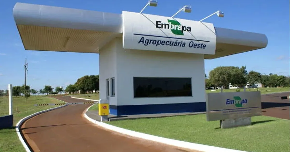 Concurso da Embrapa 2025 tem atraído grande expectativa
