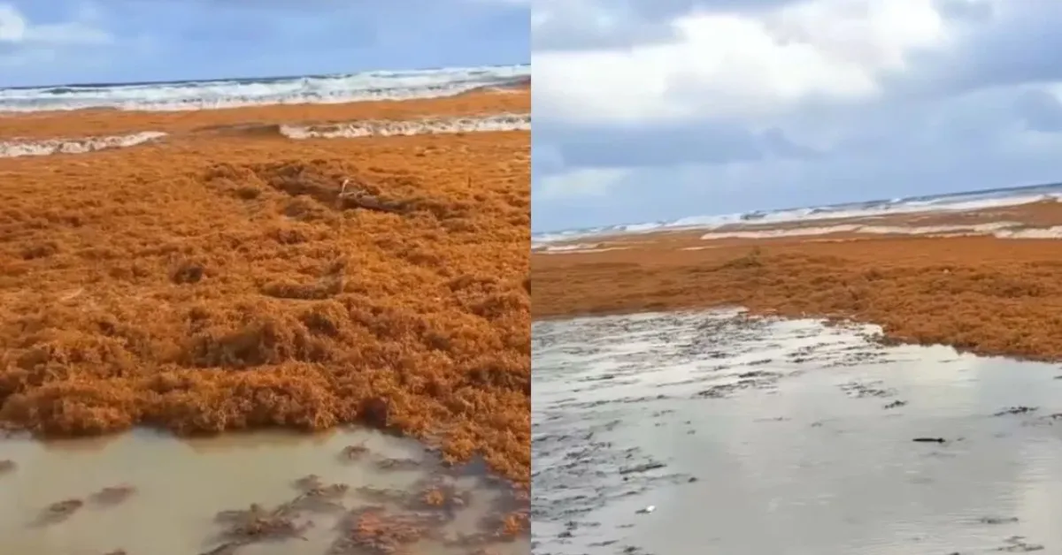 Fenômeno natural que mudou a paisagem e gerou preocupações entre moradores e turistas.