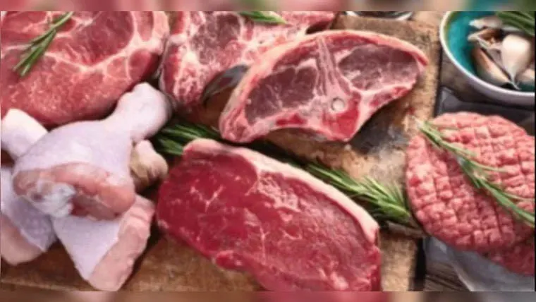 Carne vermelha é a mais rica em proteína, mas requer cuidados por causa da gordura