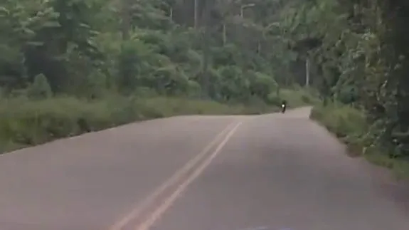 Imagem ilustrativa da notícia: Estrada da Ceasa conta história do bairro do Curió-Utinga