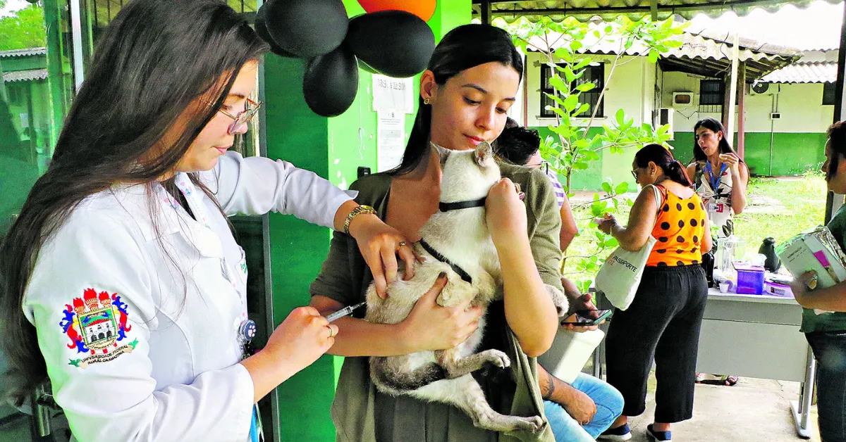 Parceria permitiu a avaliação e vacinação de cães e gatos na UFRA nesta sexta-feira (14)