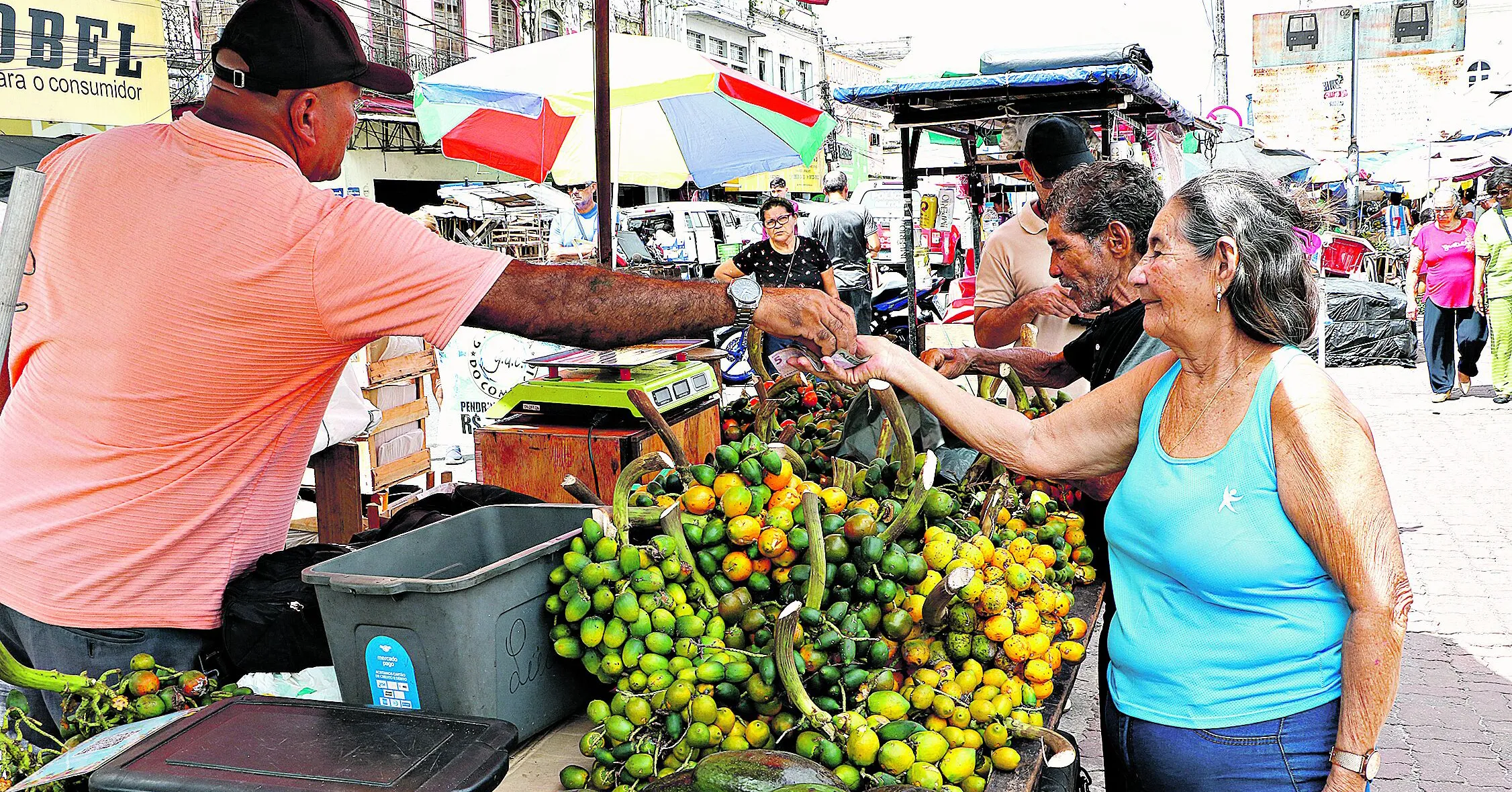 Estamos no período da safra deste alimento tão apreciado pelos paraenses, mas em feiras da capital ainda não há tanta oferta do produto